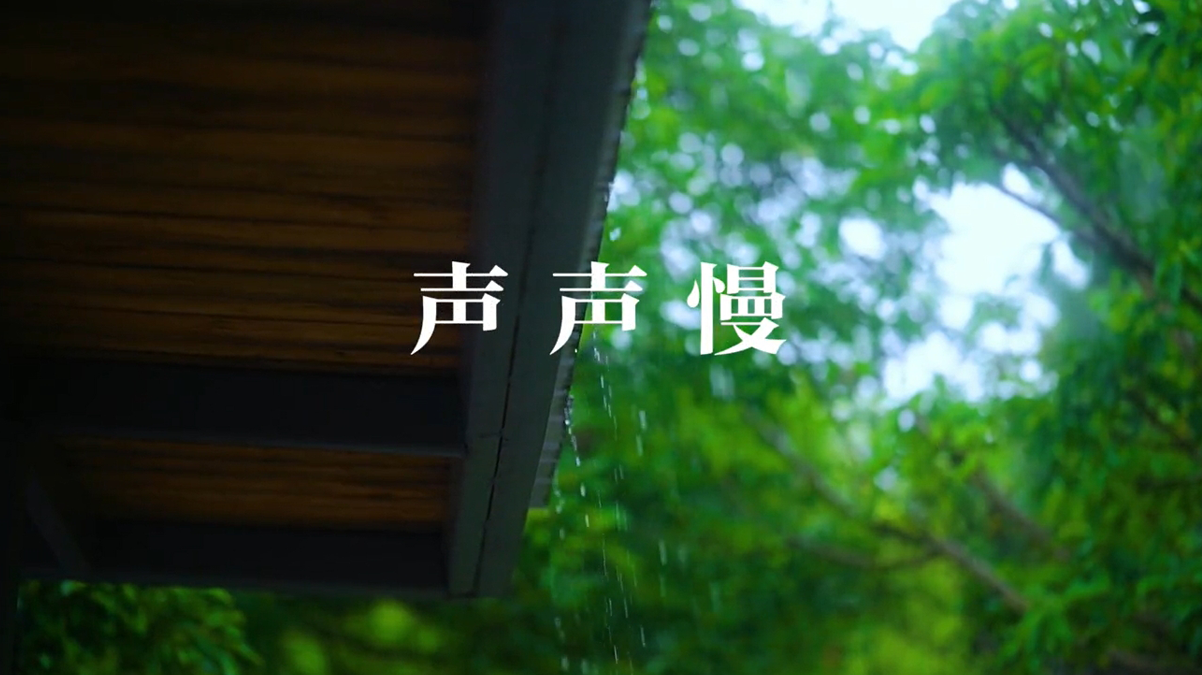 小石头和孩子们 韩依霖《声声慢》歌曲MV视频背景