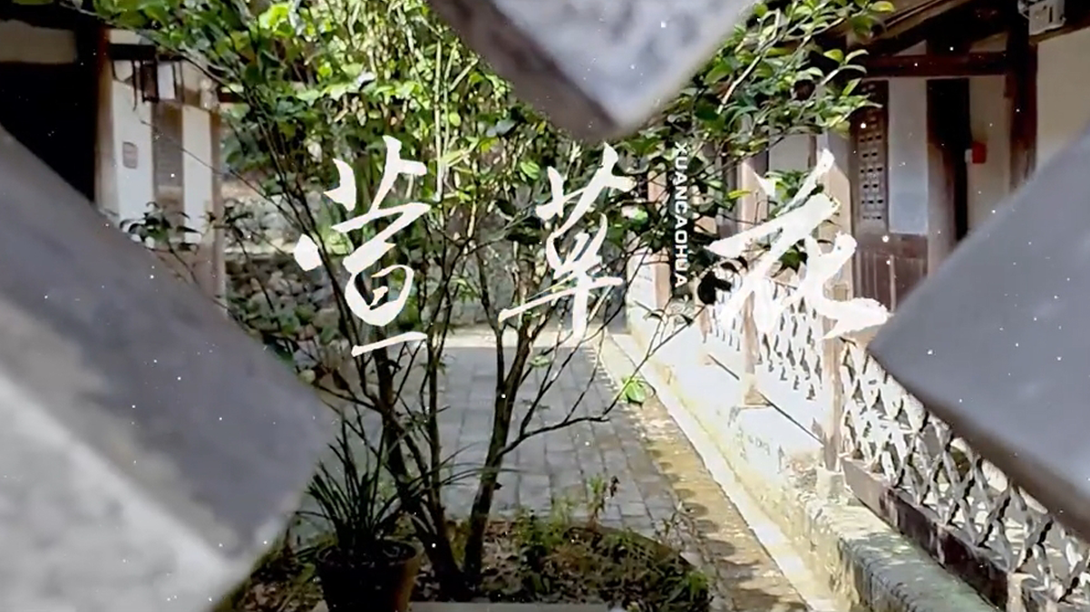 萱草花翻唱MV青春校园 