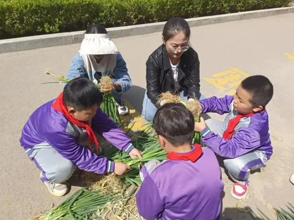 微信截图_20240905152016.png